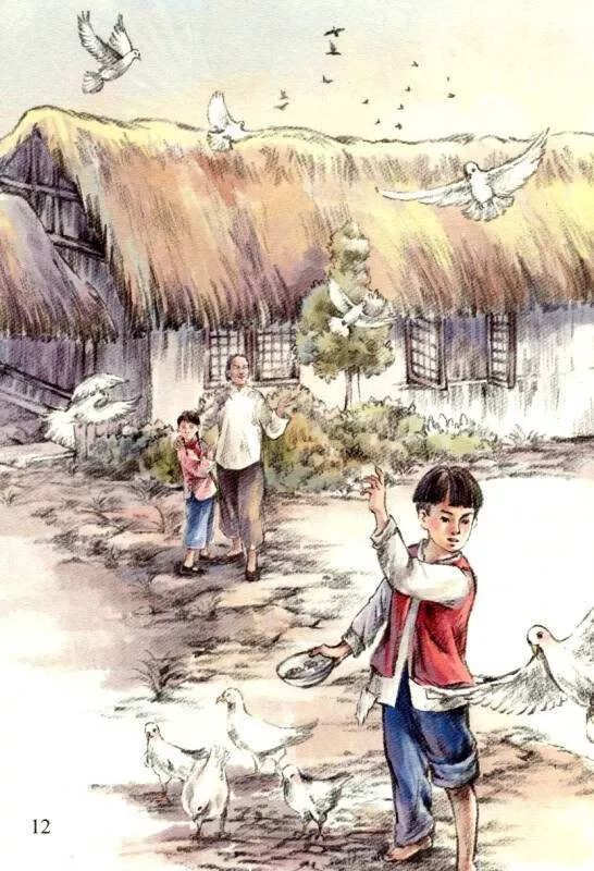 手机版草房子(草房子2020年最新版)-第2张图片-亚星国际官网