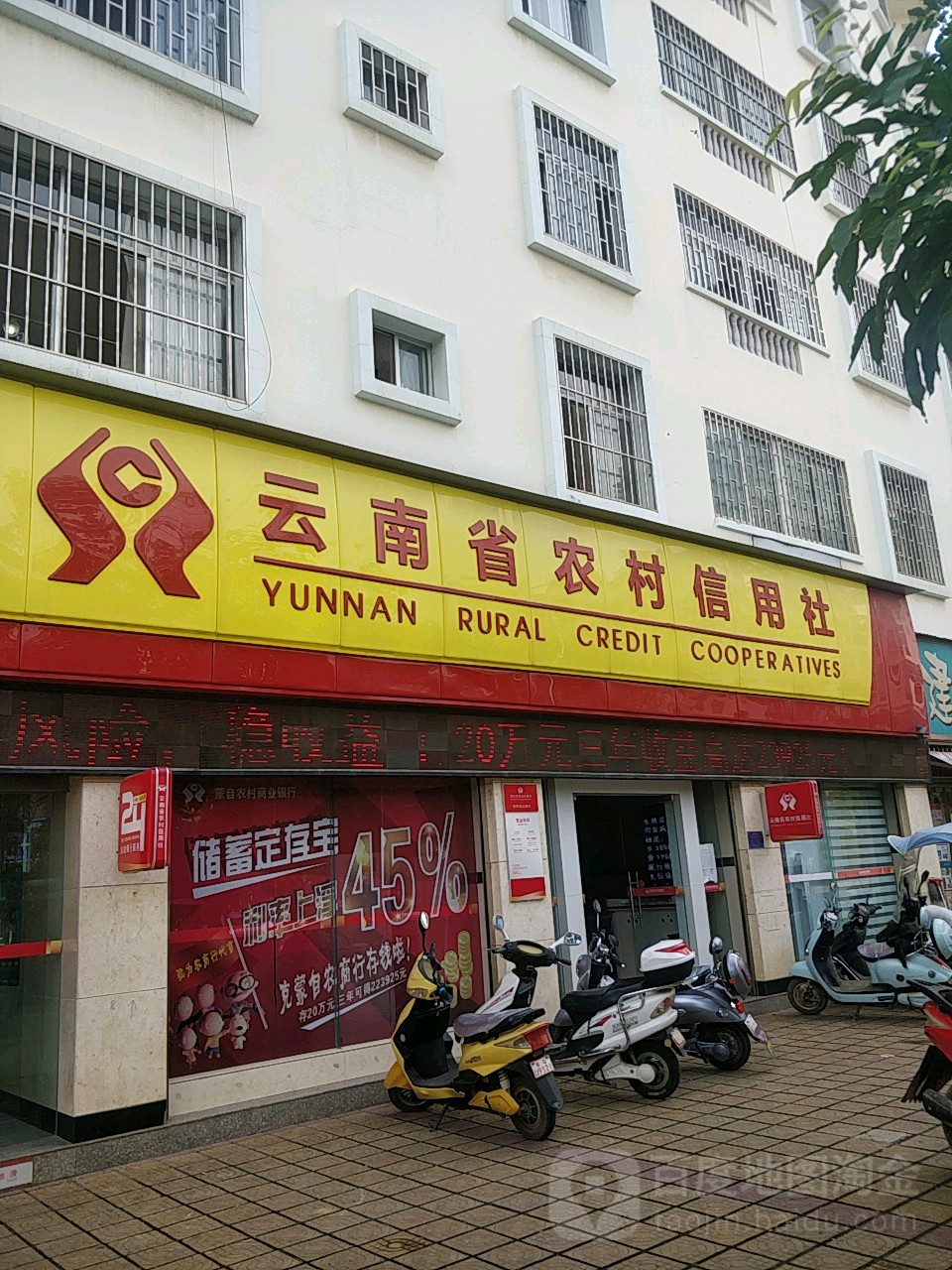 包含金鹏卡客户端的词条
