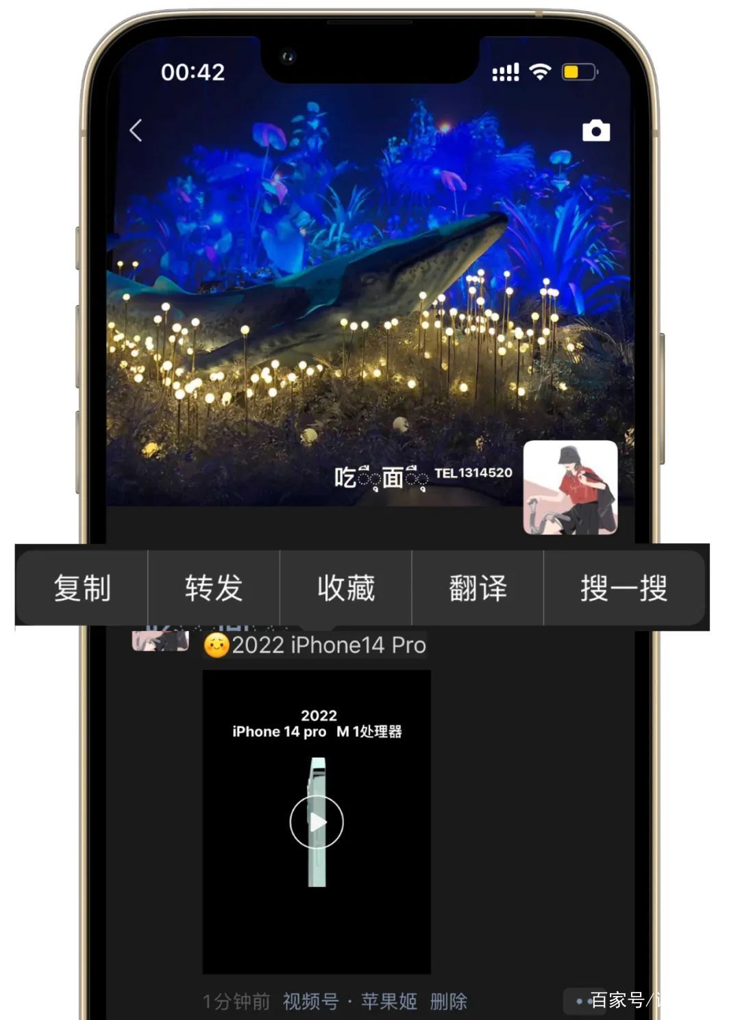 个性化微信皮肤苹果版下载(苹果微信个性化主题下载)-第2张图片-亚星国际官网