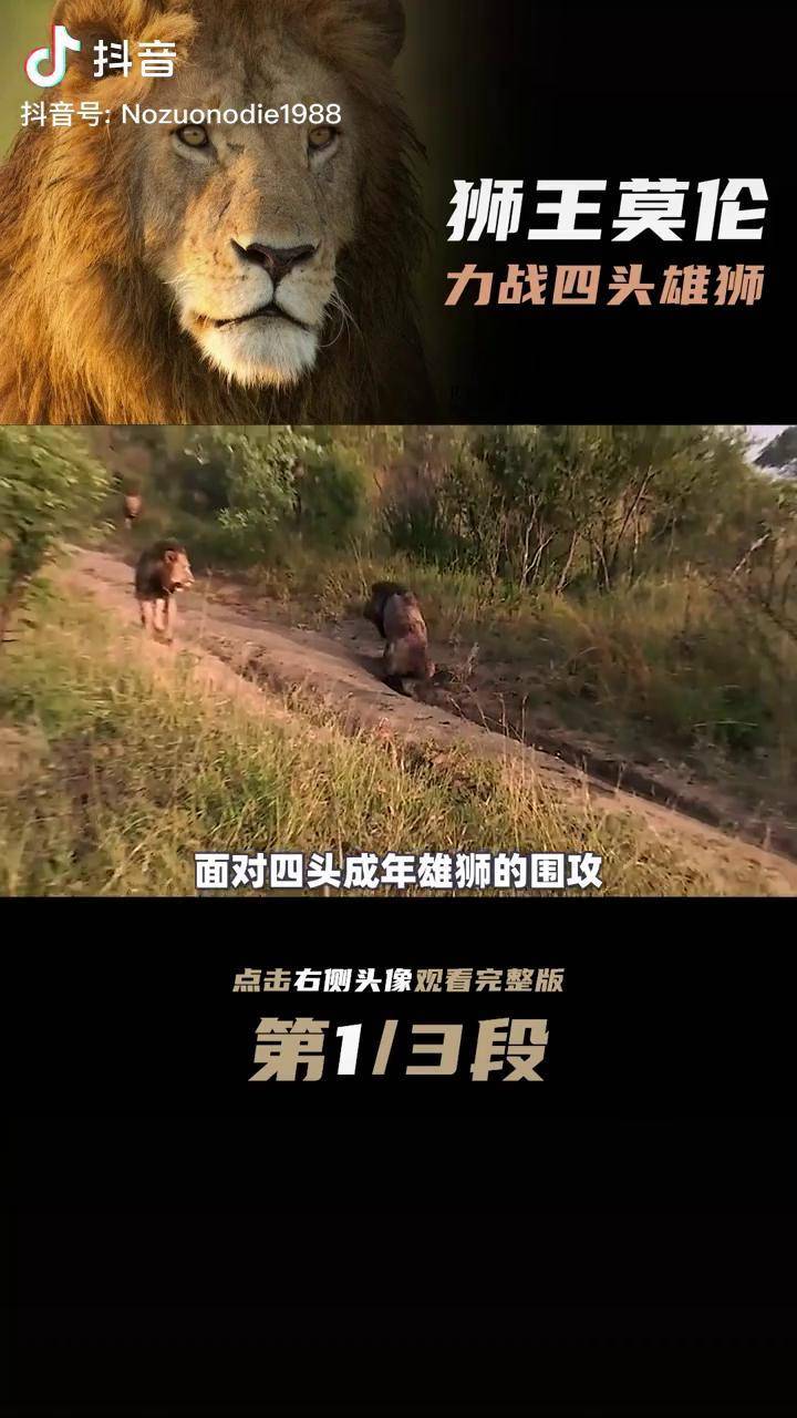 纪录片解说苹果手机版(appletv纪录片)-第1张图片-亚星国际官网