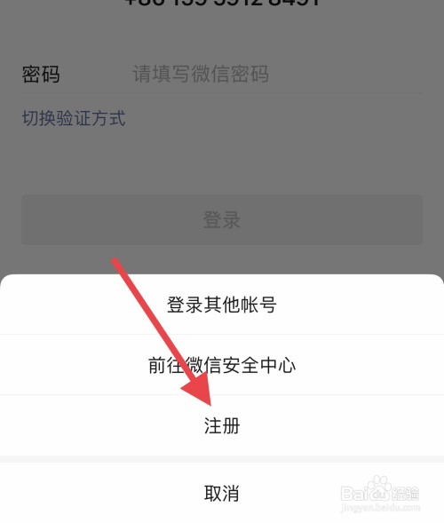 飞机苹果版怎么注册微信(飞机苹果版怎么设置中文)-第2张图片-亚星国际官网
