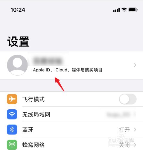 苹果手机中文版怎么样设置(苹果手机中文版怎么样设置为英文版)