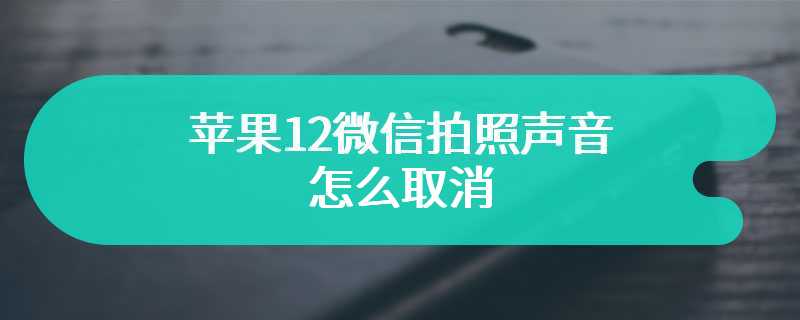苹果韩版拍照声音关不掉(韩版iphone取消拍照声)-第1张图片-亚星国际官网