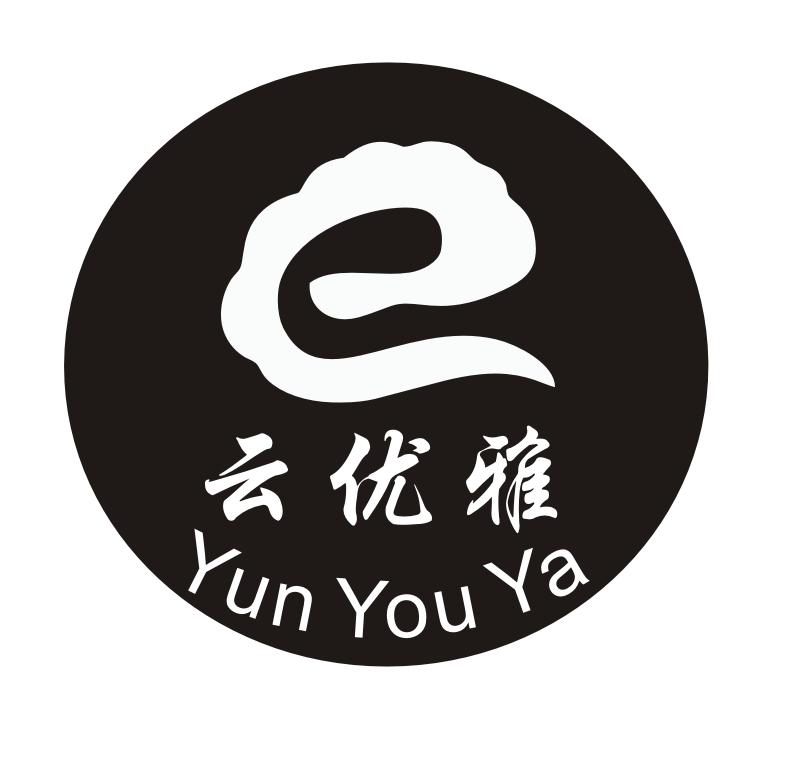 广西e云客户端广西全程电子化服务平台