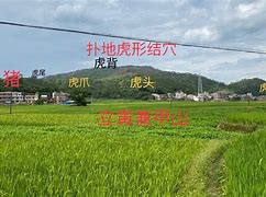 寻龙点穴大全手机版手机版卫星地图寻龙点穴风水罗盘软件