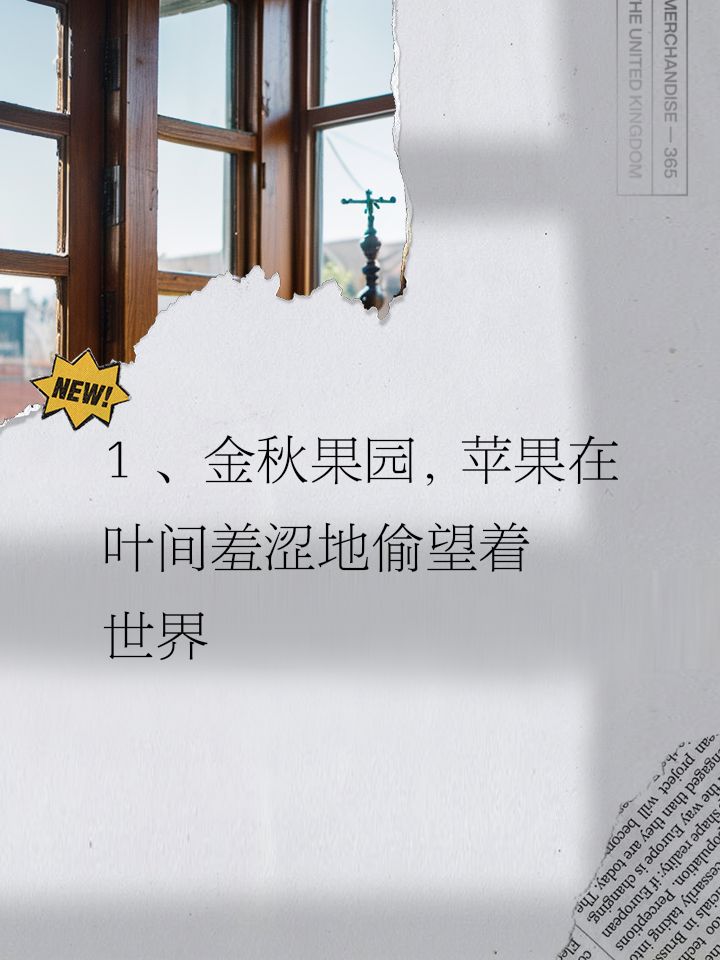 苹果版文案馆下载品言文案app下载苹果-第2张图片-亚星国际官网