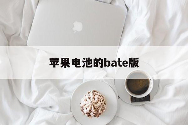 苹果电池的bate版(苹果电池beta版有什么不一样)-第4张图片-有道翻译官网 苹果电池的bate版(苹果电池beta版有什么不一样)-第4张图片-有道翻译官网