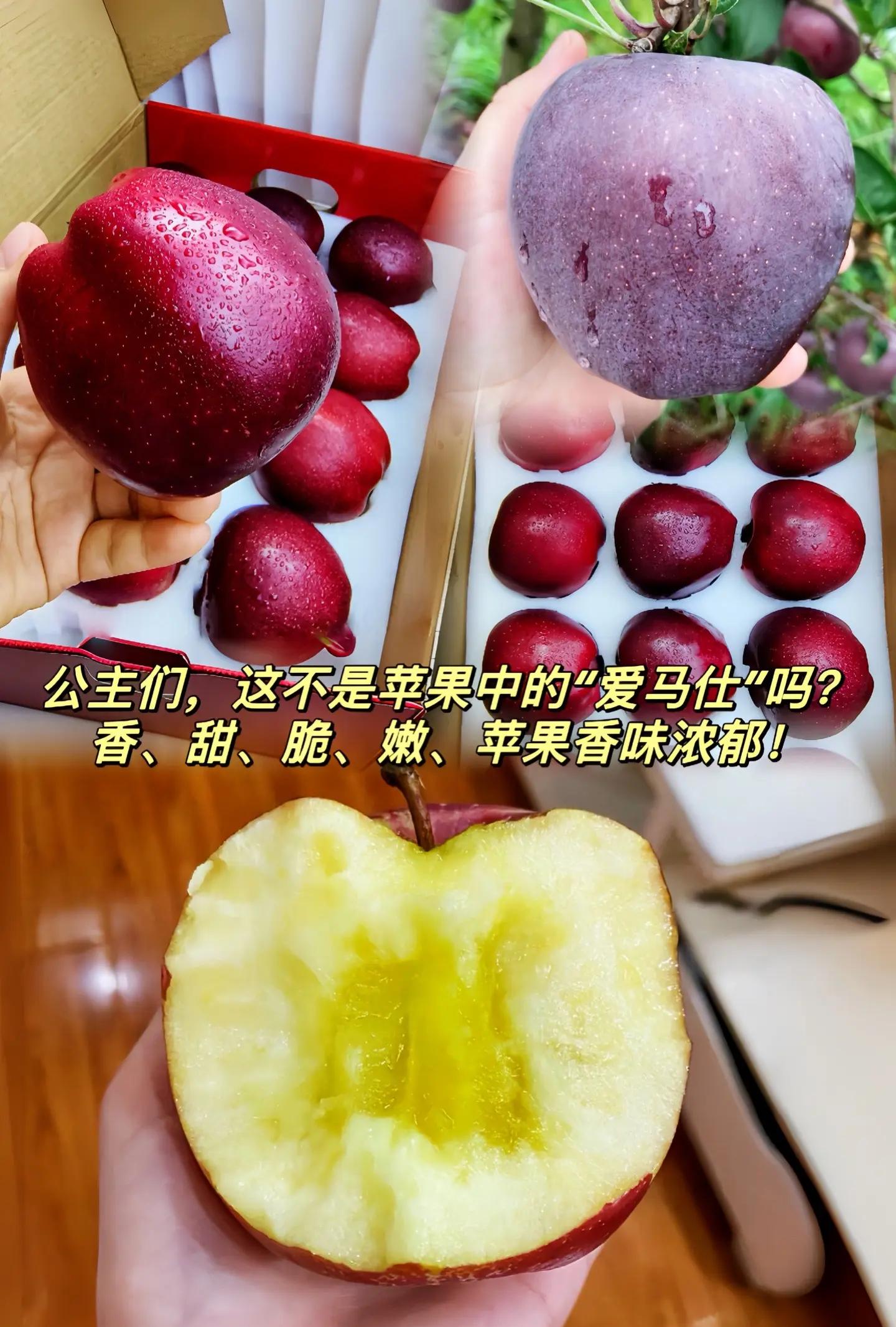 苹果12黑钻版(苹果12黑128g多少钱)-第4张图片-有道翻译官网 苹果12黑钻版(苹果12黑128g多少钱)-第4张图片-有道翻译官网