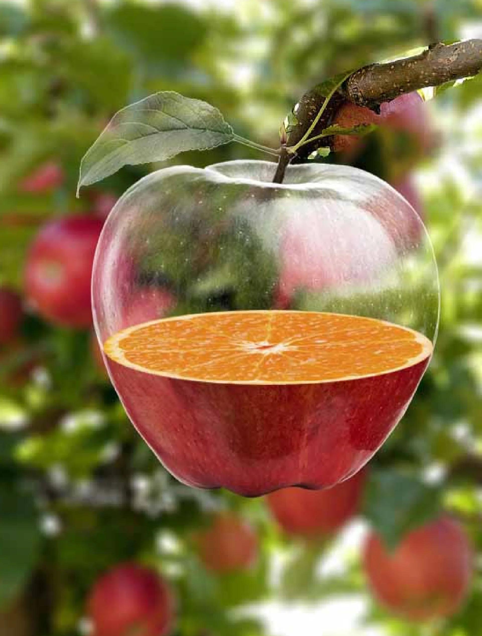 手机版ps软件苹果(photoshop手机版苹果)-第11张图片-有道翻译官网