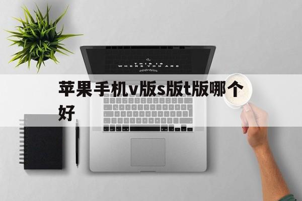 苹果手机v版s版t版哪个好(iphone v版是什么意思)